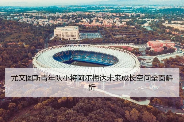 尤文图斯青年队小将阿尔梅达未来成长空间全面解析
