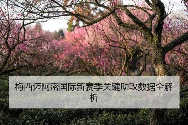 梅西迈阿密国际新赛季关键助攻数据全解析