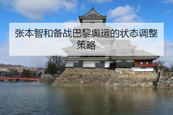 张本智和备战巴黎奥运的状态调整策略